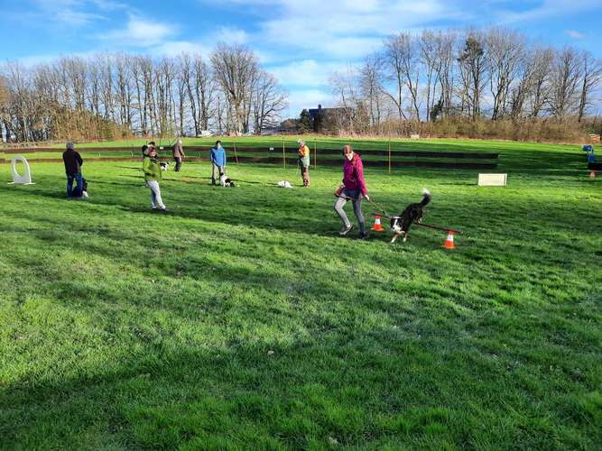 Hundeauslaufgebiet-VdH Hettenrodt-Bild