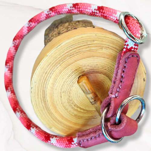 Hundeauslaufgebiet-LlovelyLlaces-Bild