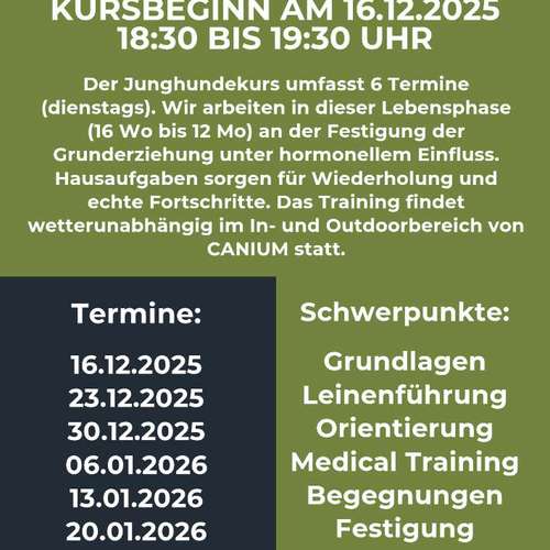 Hundeauslaufgebiet-CANIUM | Hundezentrum-Bild