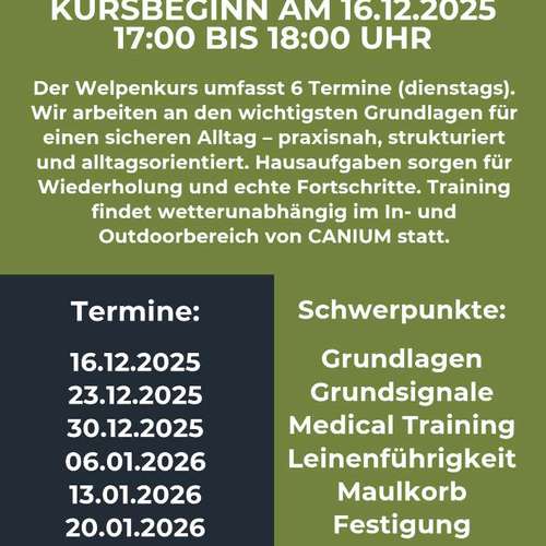 Hundeauslaufgebiet-CANIUM | Hundezentrum-Bild