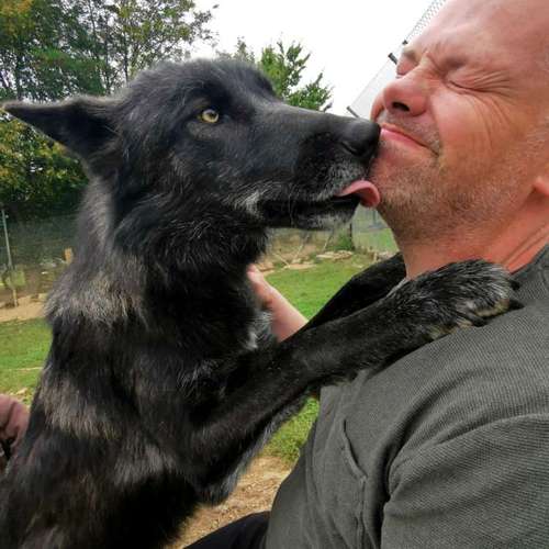 Hundeauslaufgebiet-CANIUM | Hundezentrum-Bild