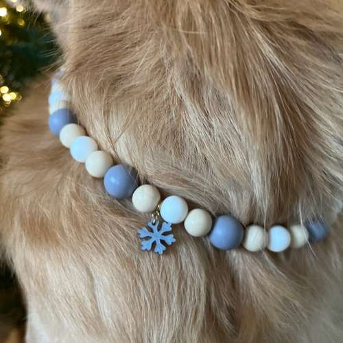 Hundeauslaufgebiet-Barks&Blooms-Bild