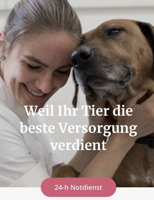 Hundeauslaufgebiet-AniCura Kleintierzentrum Weingarten-Bild