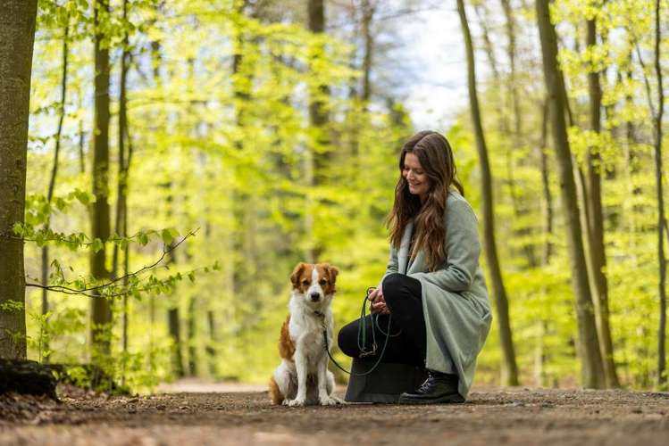 Hundeauslaufgebiet-Pfoten & Partner-Bild