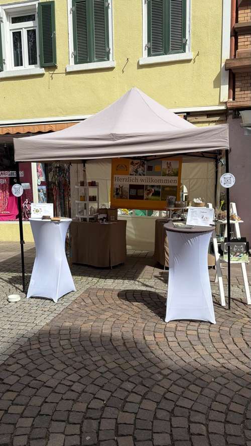 Hundeauslaufgebiet-Evas Reico Vital Systeme-Bild