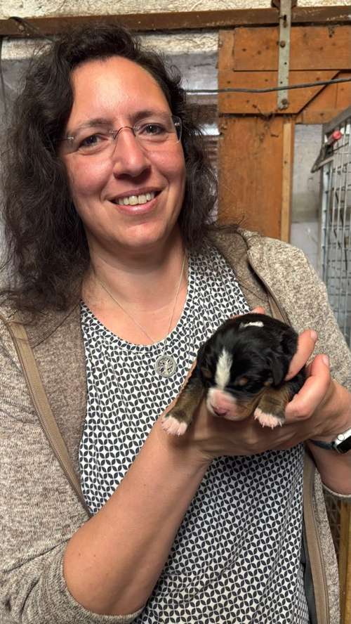 Hundeauslaufgebiet-Evas Reico Vital Systeme-Bild