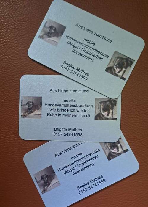 Hundeauslaufgebiet-Aus Liebe zum Hund-Bild
