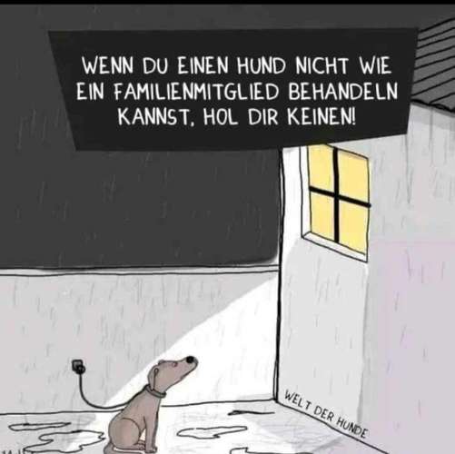 Hundeauslaufgebiet-Aus Liebe zum Hund-Bild