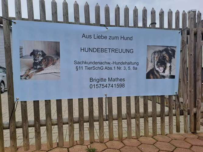 Hundeauslaufgebiet-Aus Liebe zum Hund-Bild