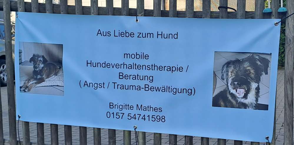 Hundeauslaufgebiet-Aus Liebe zum Hund-Bild