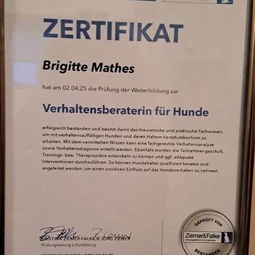 Hundeauslaufgebiet-Aus Liebe zum Hund-Bild