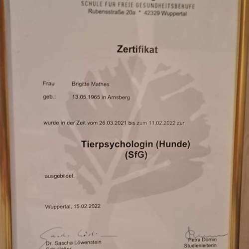 Hundeauslaufgebiet-Aus Liebe zum Hund-Bild