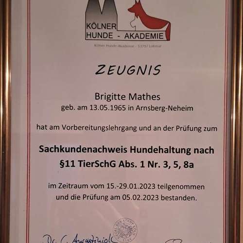 Hundeauslaufgebiet-Aus Liebe zum Hund-Bild