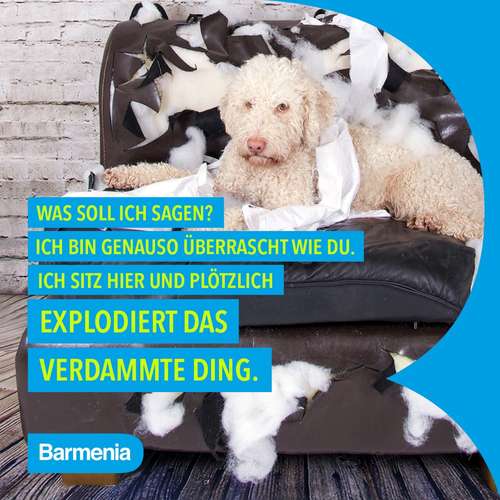 Hundeauslaufgebiet-Barmenia Tierversicherung Wuppertal | Neofitos Papadopoulos-Bild