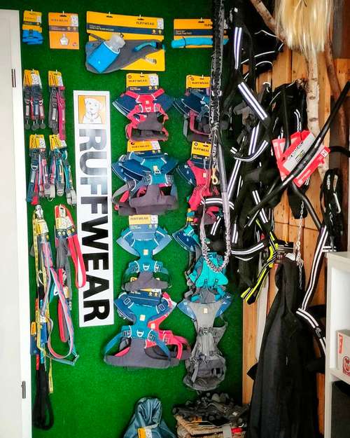 Hundeauslaufgebiet-TretrollerLiebe-Bild