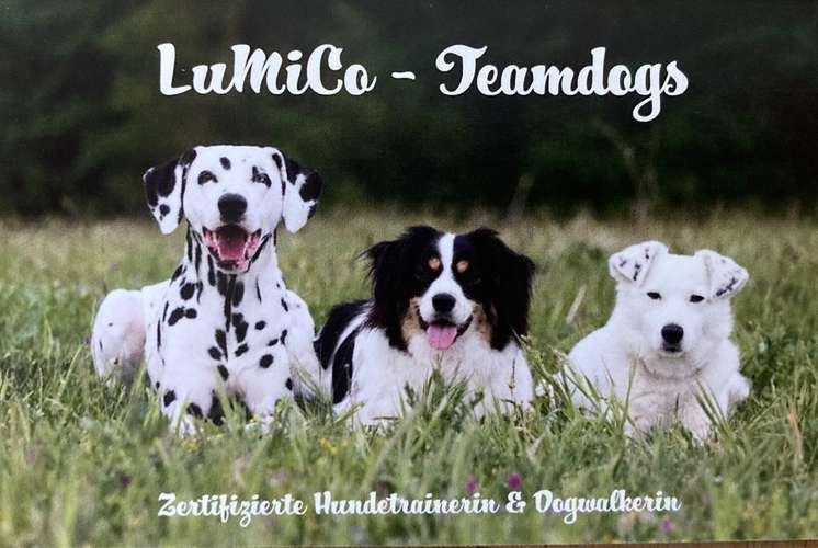 Hundeauslaufgebiet-LuMiCo-Teamdogs -Bild