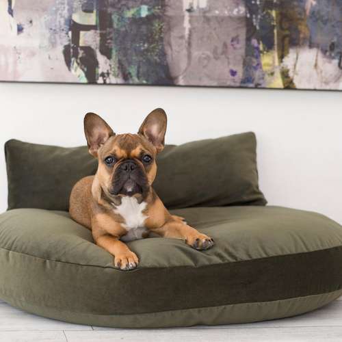 Hundeauslaufgebiet-About Paws e.Kfr.-Bild