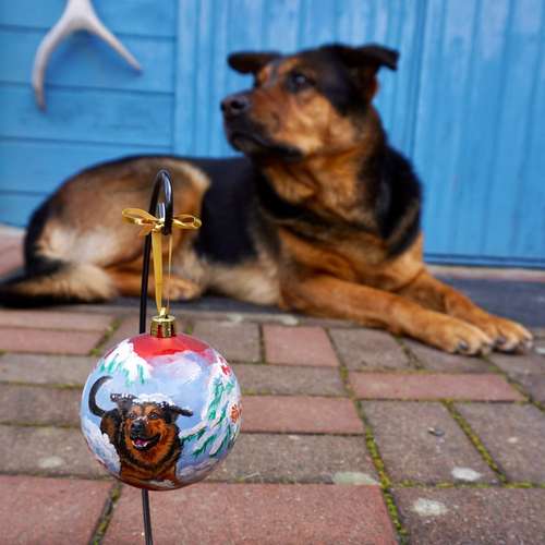 Hundeauslaufgebiet-Ianas Kunst-Bild