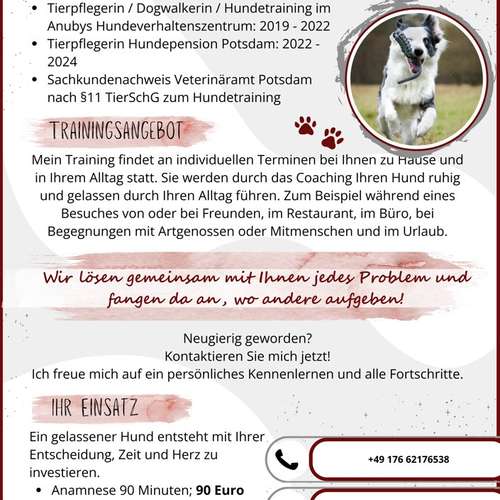 Hundeauslaufgebiet-Rocketdogs Hundetraining-Bild