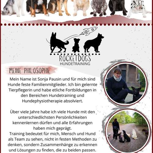 Hundeauslaufgebiet-Rocketdogs Hundetraining-Bild