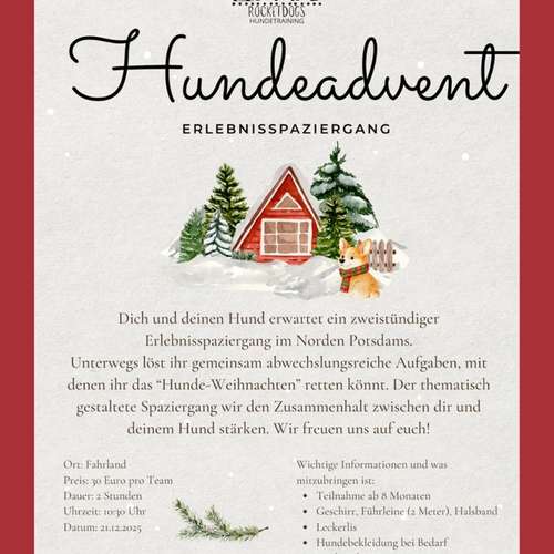 Hundeauslaufgebiet-Rocketdogs Hundetraining-Bild