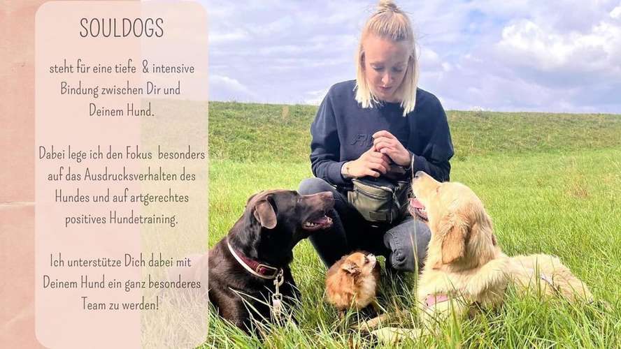 Hundeauslaufgebiet-SOULDOGS SAALEKREIS-Bild