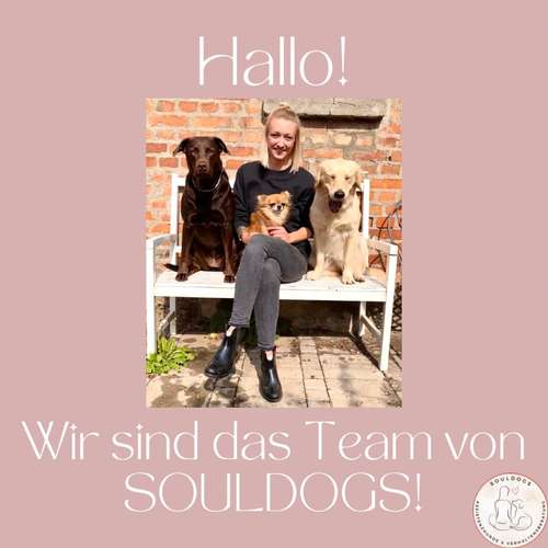 Hundeauslaufgebiet-SOULDOGS SAALEKREIS-Bild