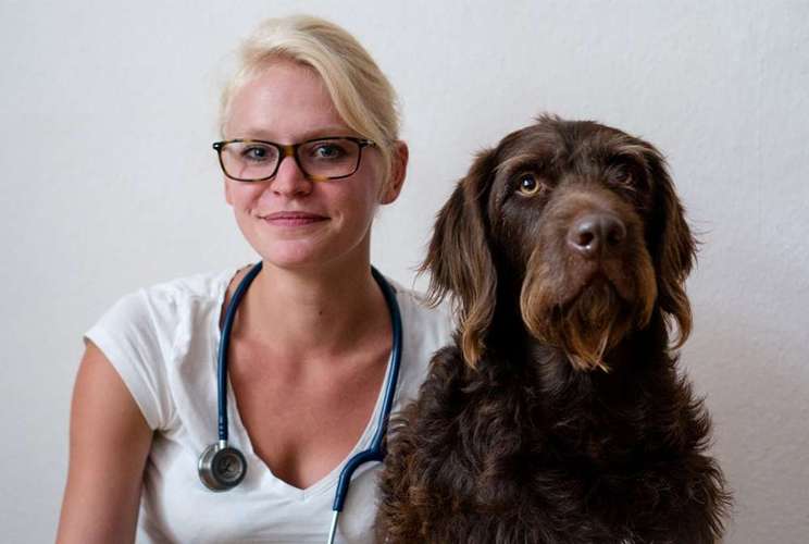 Hundeauslaufgebiet-Hundephysiotherapie & Akupunktur Hanna Reinke-Bild