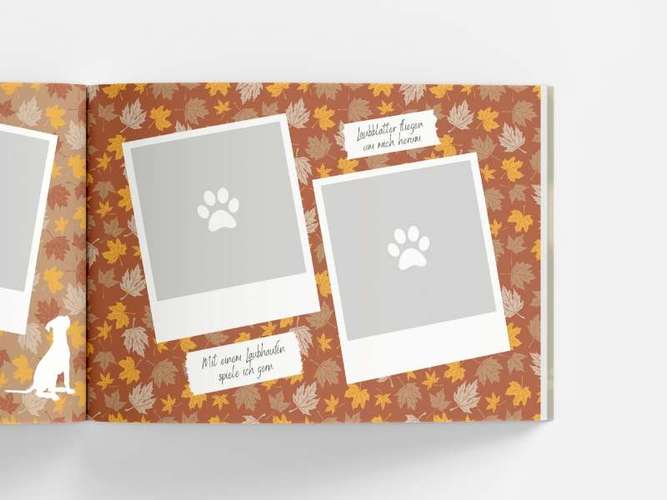 Hundeauslaufgebiet-Mein Pfotenleben-Bild