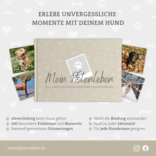 Hundeauslaufgebiet-Mein Pfotenleben-Bild