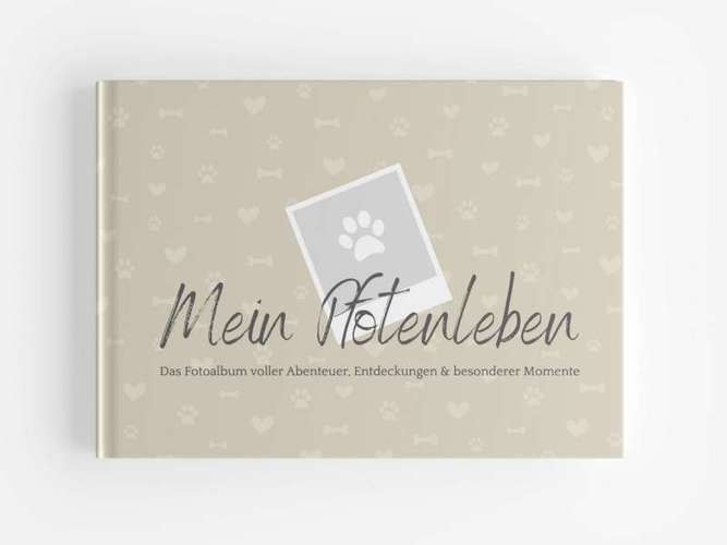 Hundeauslaufgebiet-Mein Pfotenleben-Bild