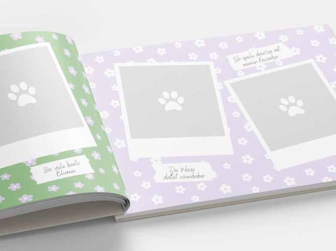 Hundeauslaufgebiet-Mein Pfotenleben-Bild