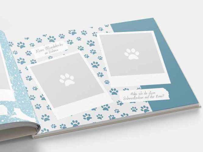 Hundeauslaufgebiet-Mein Pfotenleben-Bild