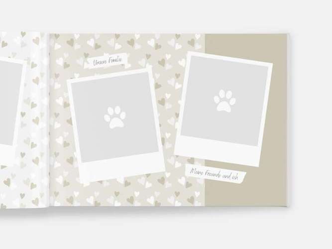 Hundeauslaufgebiet-Mein Pfotenleben-Bild