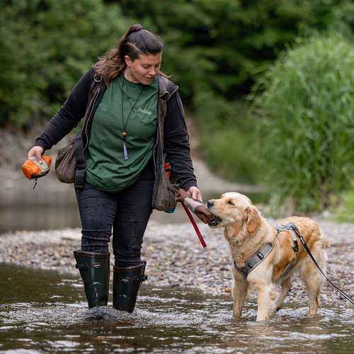 Hundeauslaufgebiet-Findling.-Bild