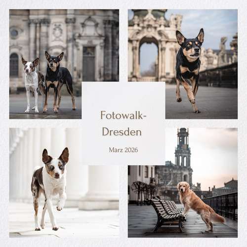 Hundeauslaufgebiet-Mosquitophoto Weimar-Bild