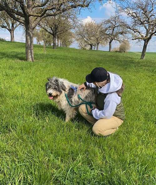 Hundeauslaufgebiet-Pfotenlehre-Bild