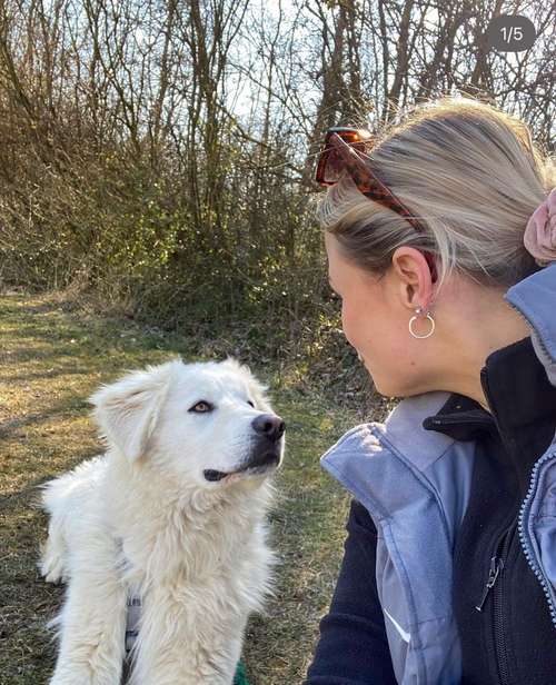 Hundeauslaufgebiet-Pfotenlehre-Bild