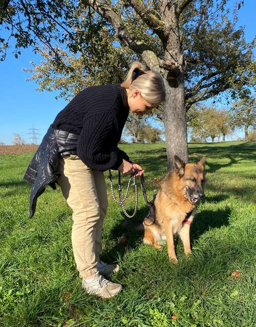 Hundeauslaufgebiet-Pfotenlehre-Bild