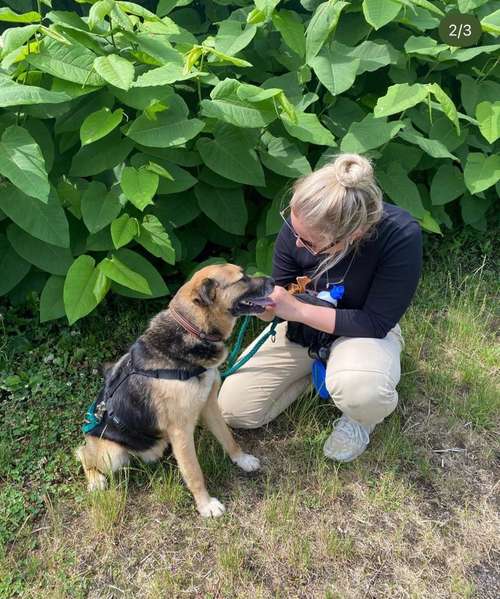 Hundeauslaufgebiet-Pfotenlehre-Bild