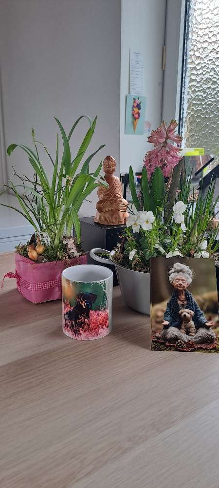 Hundeauslaufgebiet-BARFERIE CELLE-Bild