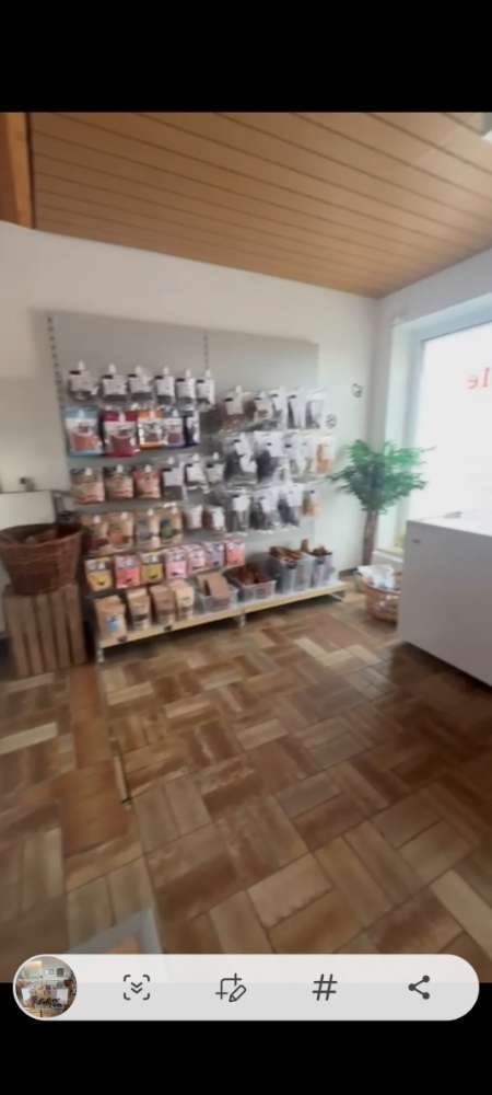 Hundeauslaufgebiet-BARFERIE CELLE-Bild