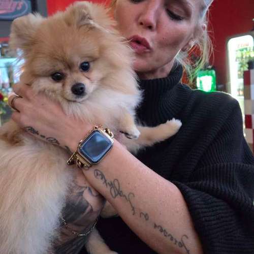 Hundeauslaufgebiet-HUNDEKUNDE® ROCHO-Bild