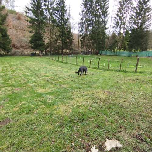 Hundeauslaufgebiet-Dogs on the hills-Bild