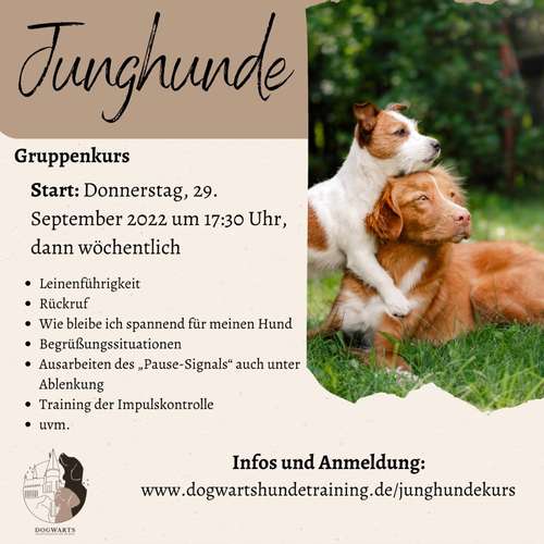 Hundeauslaufgebiet-Dogwarts-Bild