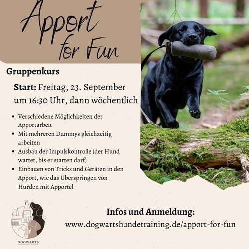 Hundeauslaufgebiet-Dogwarts-Bild