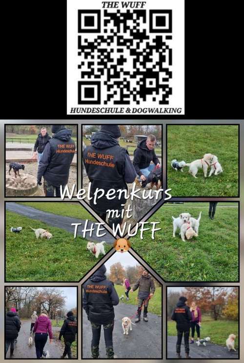Hundeauslaufgebiet-The Wuff-Bild