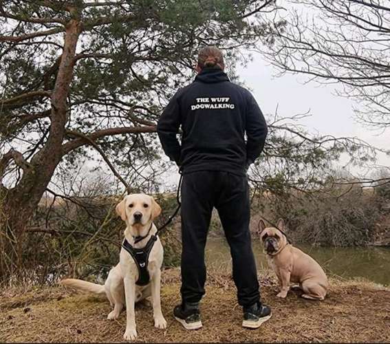 Hundeauslaufgebiet-The Wuff-Bild