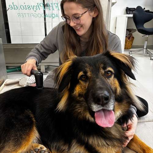 Hundeauslaufgebiet-Pottpfoten Tierphysiotherapie-Bild