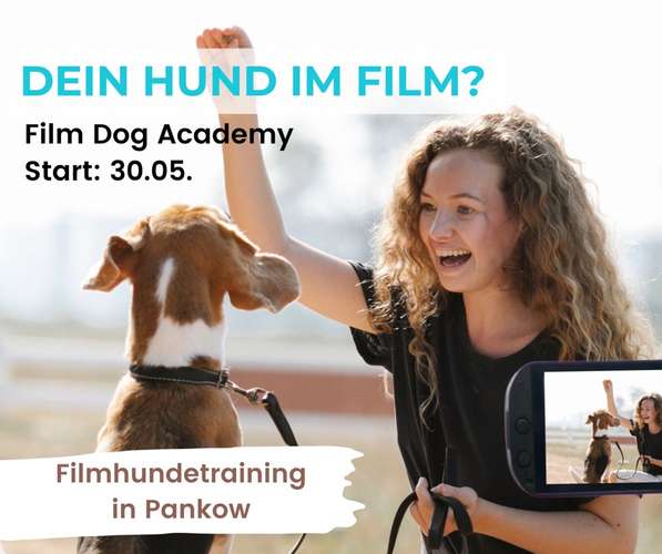 Hundeauslaufgebiet-Nadin Reimann I Mensch-Hund Coach-Bild